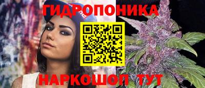apvp Кингисепп