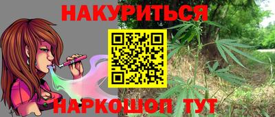 apvp Кингисепп