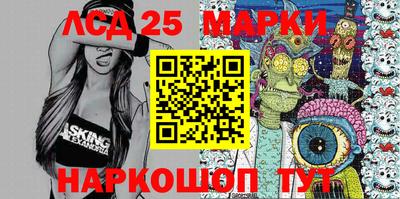 apvp Кингисепп