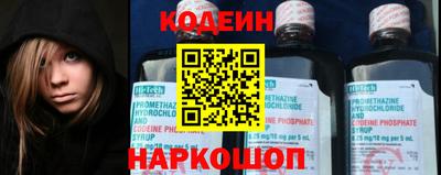 apvp Кингисепп