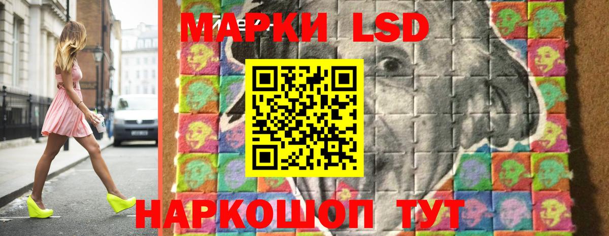 APVP Великий Устюг