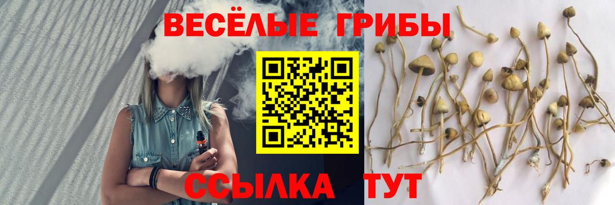 Великий Устюг  Галлюциногенные грибы GOLDEN TEACHER  Псилоцибиновые грибы прущие грибы  Вход с VPN 
