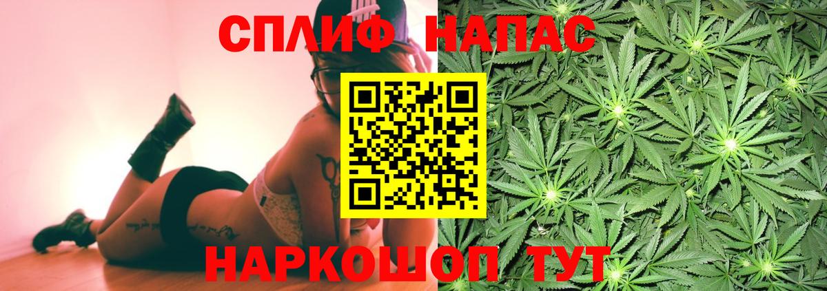 Бошки Шишки гибрид  Вход с VPN  Великий Устюг  Бошки Шишки конопля  Каннабис сатива 
